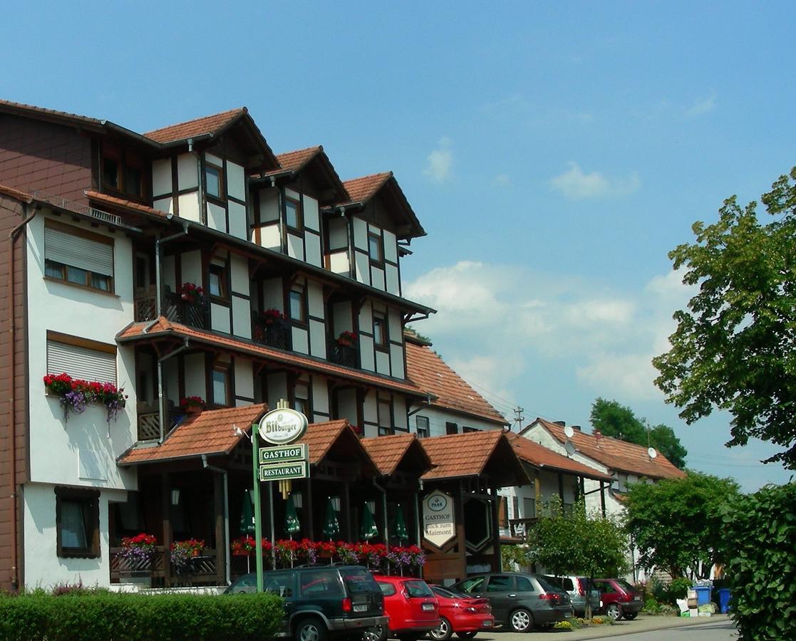 Hôtel Blick Zum Maimont à Ludwigswinkel Extérieur photo