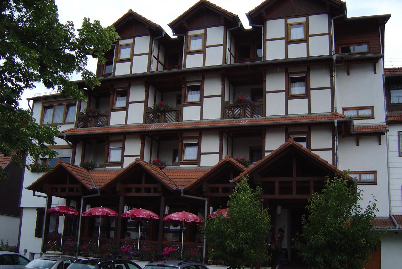 Hôtel Blick Zum Maimont à Ludwigswinkel Extérieur photo